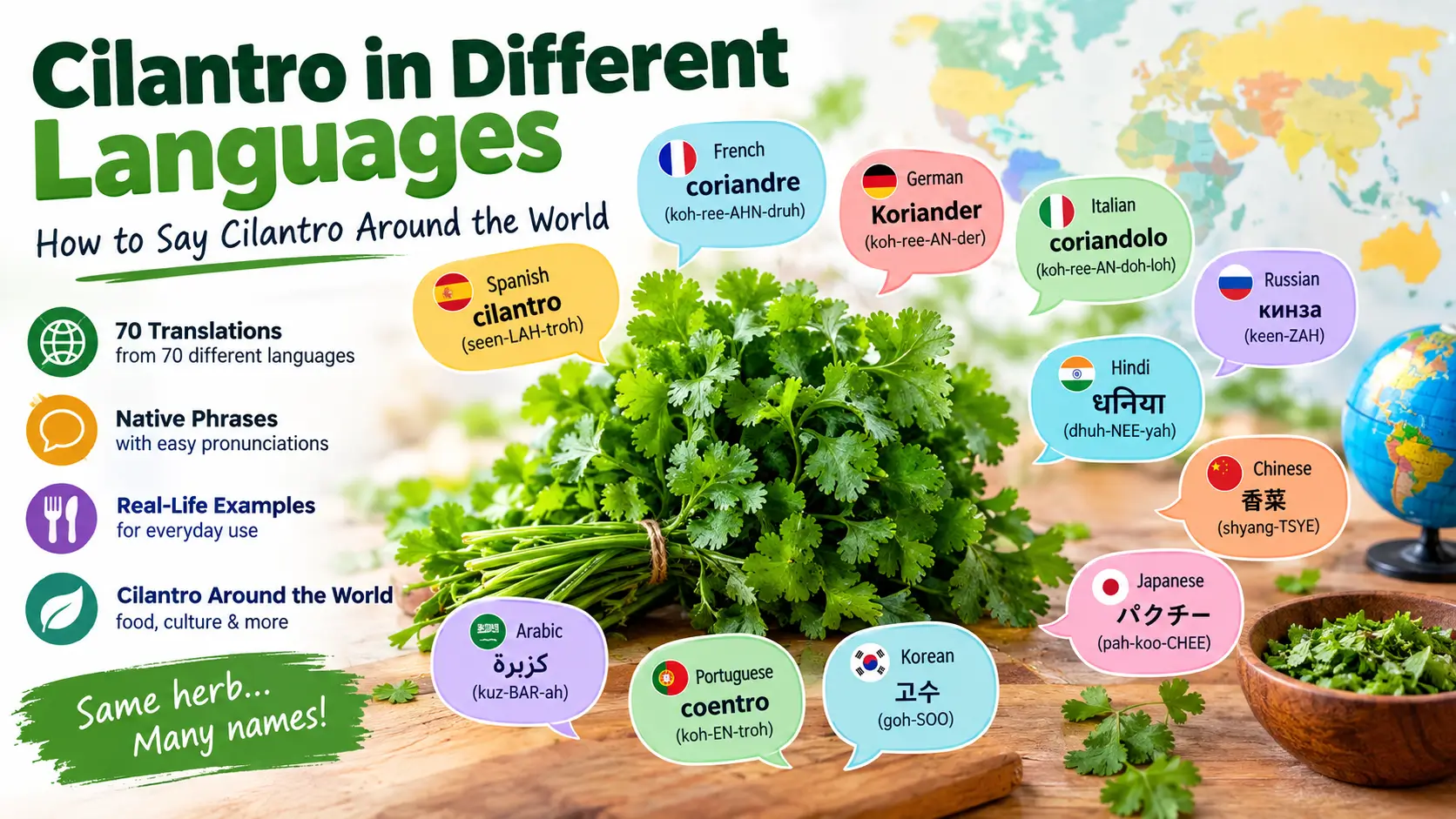 cilantro-in-different-languages